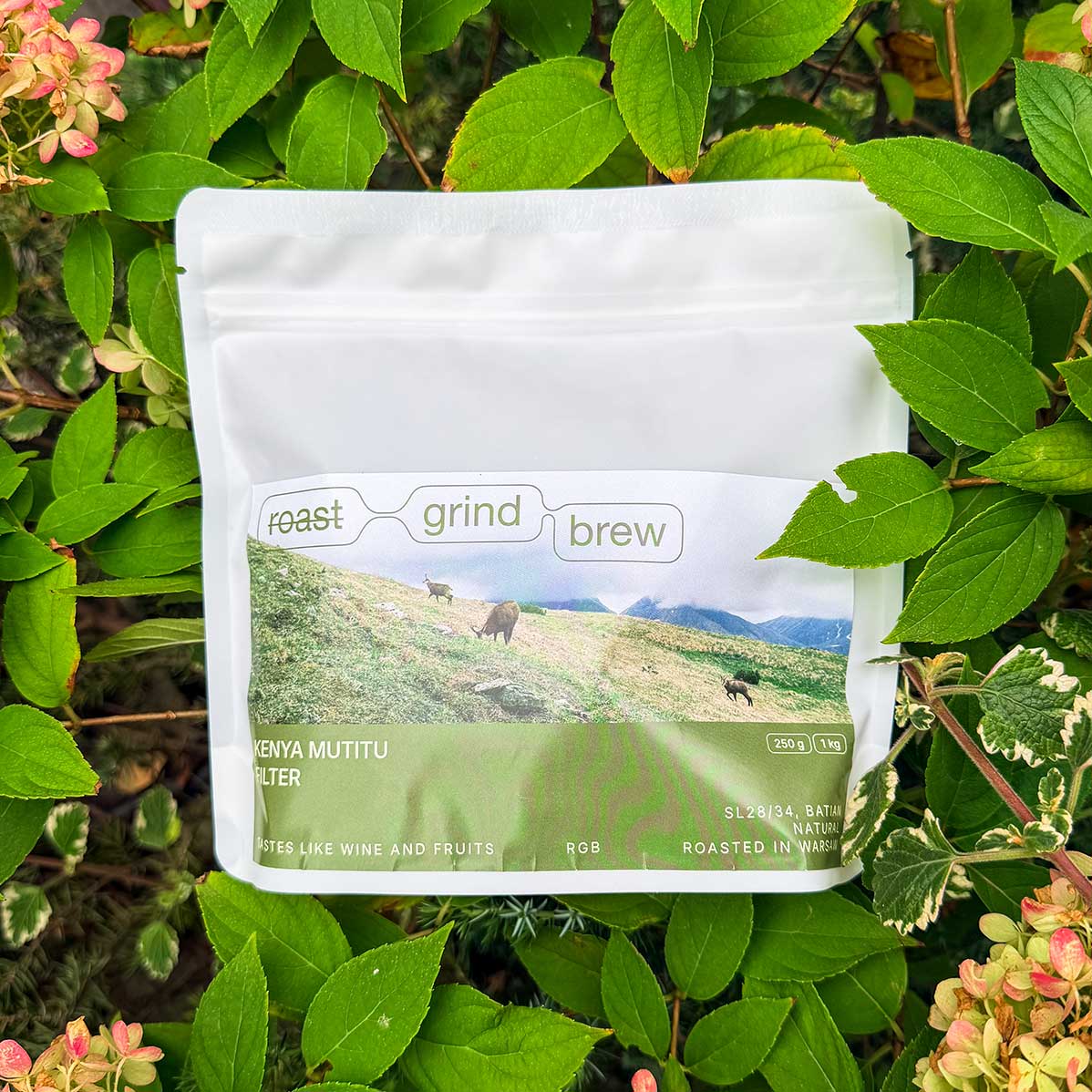 Kenya Mutitu Natural 250g