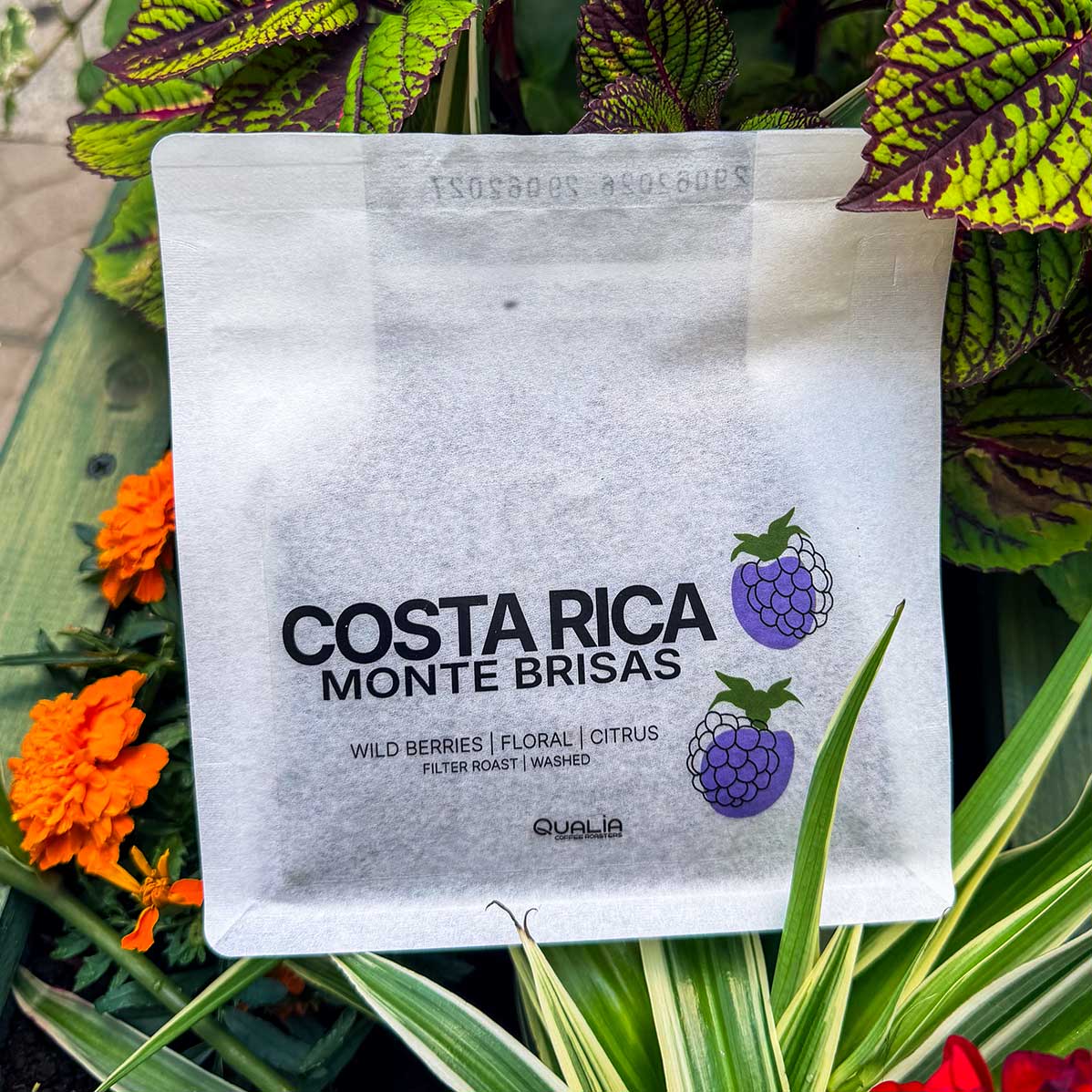 Costa Rica Monte Brisas 200g